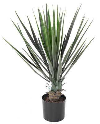 Yucca Rostrata artificiel h.60 cm