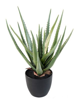 Plante aloe vera artificielle en pot h. 48cm