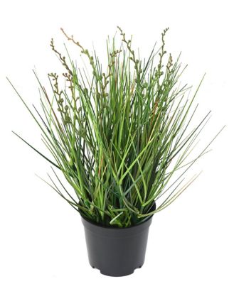 Berry onion grass artificiel h.35 cm
