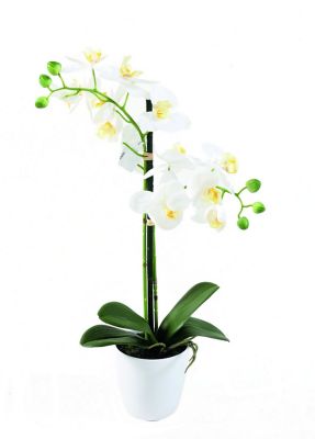 Pot Phalaenopsis artificiel 2