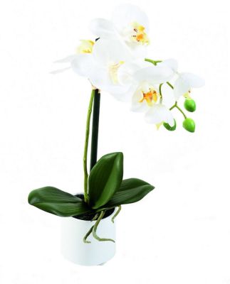 Pot Phalaenopsis artificiel
