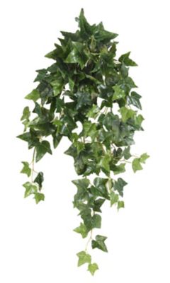 Lierre anglais chute artificiel h.80 cm