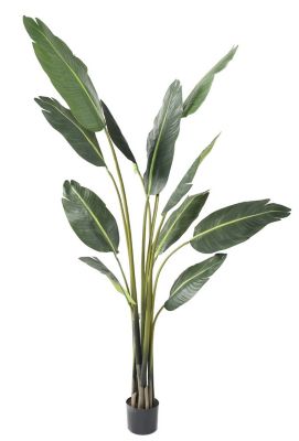 Travellers Palm tree artificiel h.195 cm