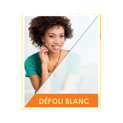 Film de vitrage dépoli blanc 100 x 90 cm