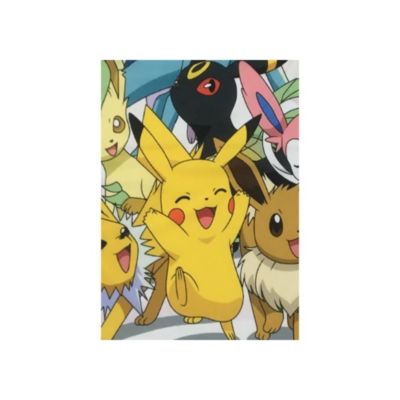 Couverture Sherpa POKEMON Evolutions 100 x 150 cm - vue 2