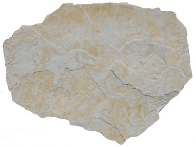 Dalle en pierre Naturelle Opus ép20/40mm