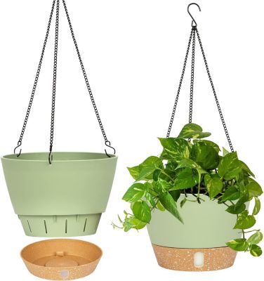 Pot