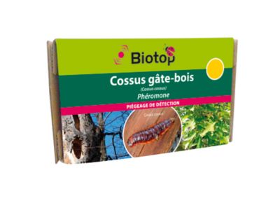 Phéromones contre cossus gâte-bois Biotop (2 capsules)