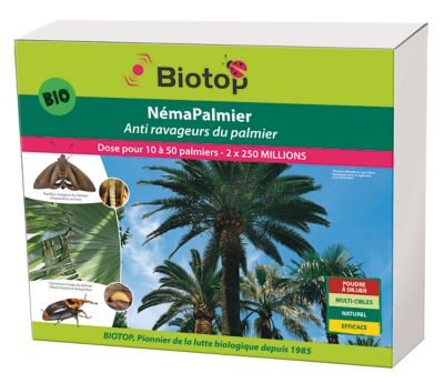 Néma-Palmier contre charançon rouge du palmier Biotop (500 millions)