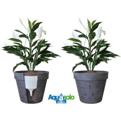 Réserve d'eau Aquasolo