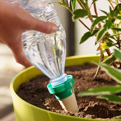 Cône d'arrosage Aquasolo taille M coloris vert débit 20cl/24h 3 + 1 gratuit