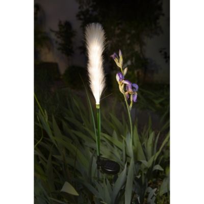 Décoration lumineuse GALIX G4515 Energie solaire : Plumeau - vue 1