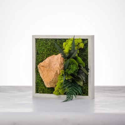 Tableau végétal stabilisé mono