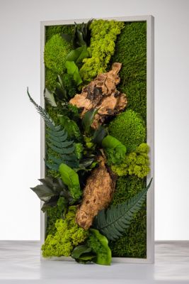 Tableau végétal stabilisé rectangle 27 x 57 cm