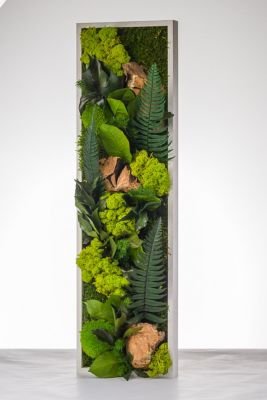 Tableau végétal stabilisé panoramique