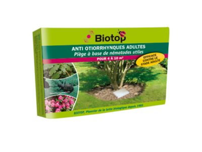 Piège à otiorrhynque adulte Biotop