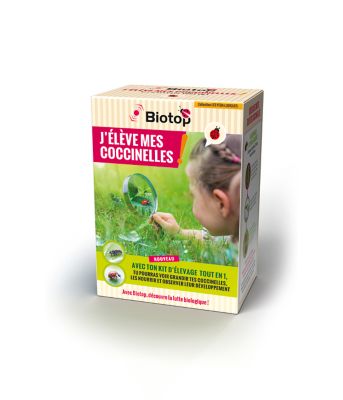 Kit pédagogique d'élevage de coccinelles Biotop