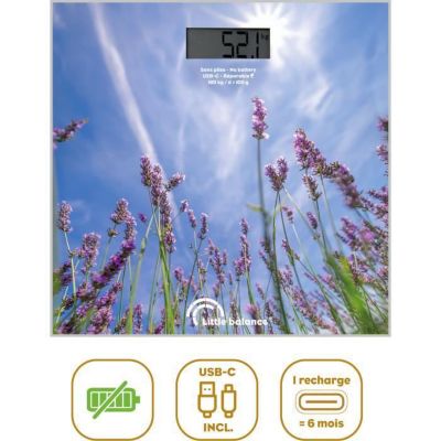 Pèse-personne électronique Lavande - USB-R - 8842