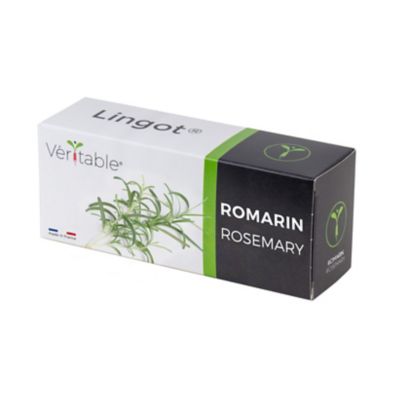 Lingot® Romarin pour potager Véritable®