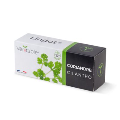 Lingot® Coriandre pour potager Véritable®