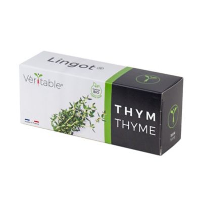 Lingot® Thym Bio pour potager Véritable®