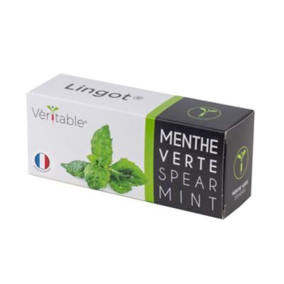 Lingot® Menthe verte pour potager Véritable®
