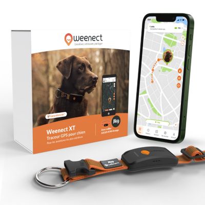 Weenect Collier GPS pour chien - Chien XT - Antenne XL - Etanche - Collier Julius-K9 - Fonctionne avec abonnement Orange - vue 2