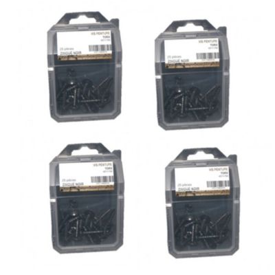 4 Coques de 25 Vis Penture Torx 6 x 50 mm - Zingué Noir - D-Work