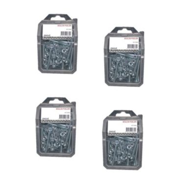 4 Coques de 50 Boulons Poêliers 6 x 25 mm - NFE 25129/4032 - Zingué blanc - D-Work