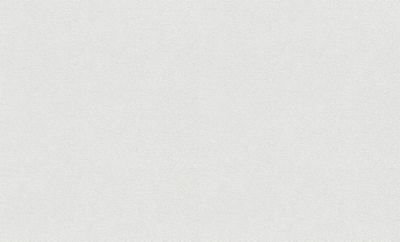 Structure à peindre sur intissé Rasch blanc design griffés l.1 x H.25m