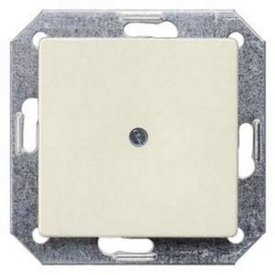 Cache Delta 55 x 55 mm pour appareillage Delta 1 pièce.
