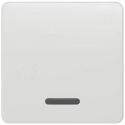 Cache bouton à bascule Delta profil 65x65 mm pour interrupteur simple 5TG7800