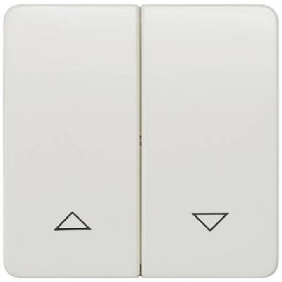Bouton à bascule Delta 2 positions 65x65 mm pour bouton poussoir 5TG7814.