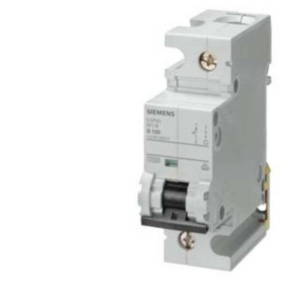 Disjoncteur 5SP41926 SENTRON 1 pôle 230400 V 10 kA courbe B