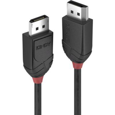 Câble DisplayPort 1.2 1 m - blindé, contacts plaqués or, gaine PVC