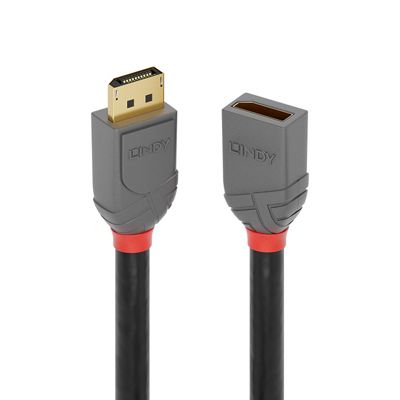 Rallonge DisplayPort 1.4 Anthra Line 1m LINDY