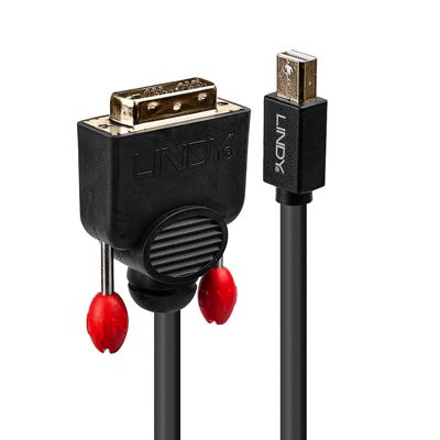 Câble Mini DisplayPort vers DVI Noir 1m LINDY