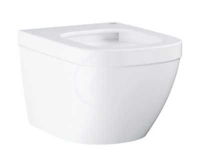 Euro Ceramic Cuvette WC suspendue compact Triple Vortex, blanc alpin (39206000)