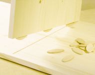 50 lamelles d'assemblage Wolfcraft n°10