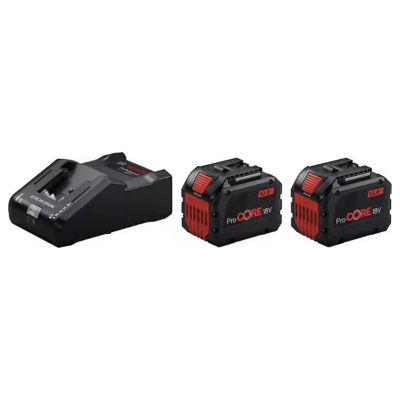Pack 2 batteries ProCORE18V 12 0 Ah + chargeur GAL 18V 160 Pack professionnel 18 V