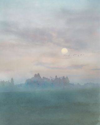 Papier peint panoramique Komar Hazy Hush L.2 m x l.250 cm