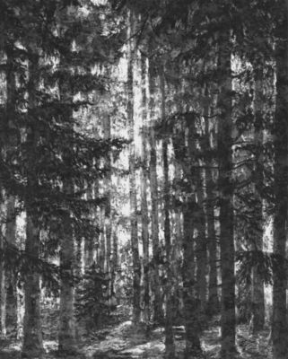 papier peint panoramique komar lustres lapland l.2 m x l.250 cm