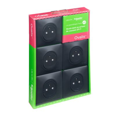 5 prises de courant avec terre affleurante Schneider Electric Ovalis anthracite