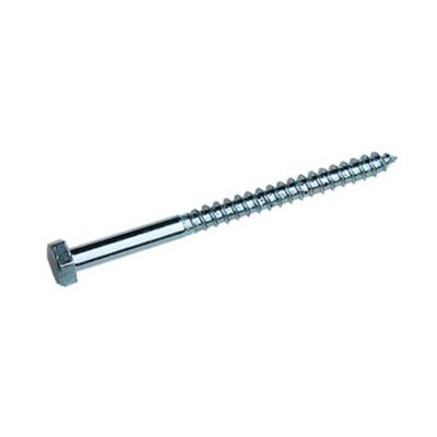 Tirefond inox M10 x 100 mm - Par 50 pièces