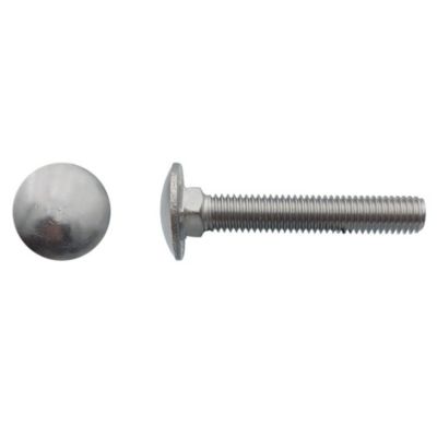 50 Vis Tête Ronde Collet Carré TRCC 10 x 80 mm - DIN 603 - Inox A2 - D-Work