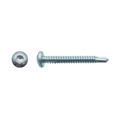 500 Vis Autoperceuses Tête Cylindrique Torx 4.8 x 22 mm - Zingué blanc - D-Work