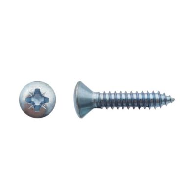 500 Vis à Tôle Tête Fraisée Bombée Pozidriv 4.8 x 19 mm - DIN 7983 - Zingué blanc - D-Work