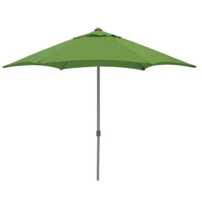 Parasol