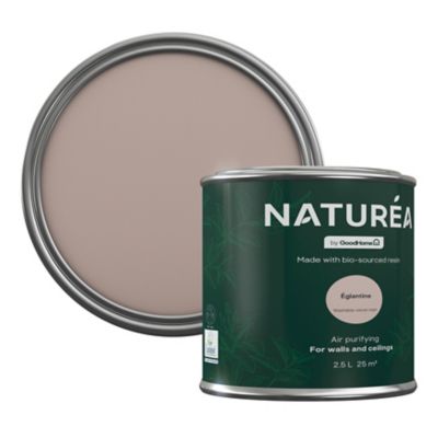 Peinture testeur de couleur Naturéa par GoodHome eglantine velours 70 ml
