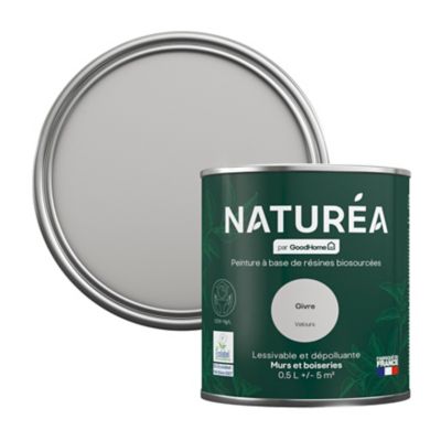 Peinture murs et boiseries Naturéa par GoodHome givre velours 0.5L